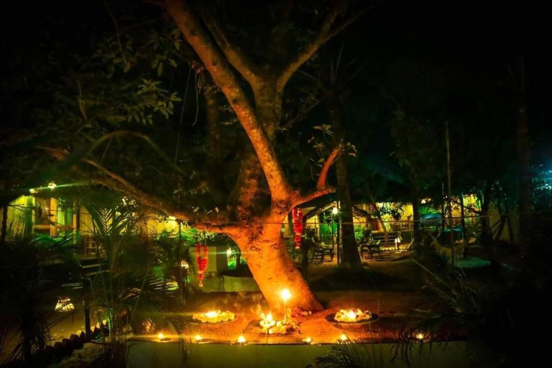 Готель Patnem Palm Garden Patnem Beach Екстер'єр фото