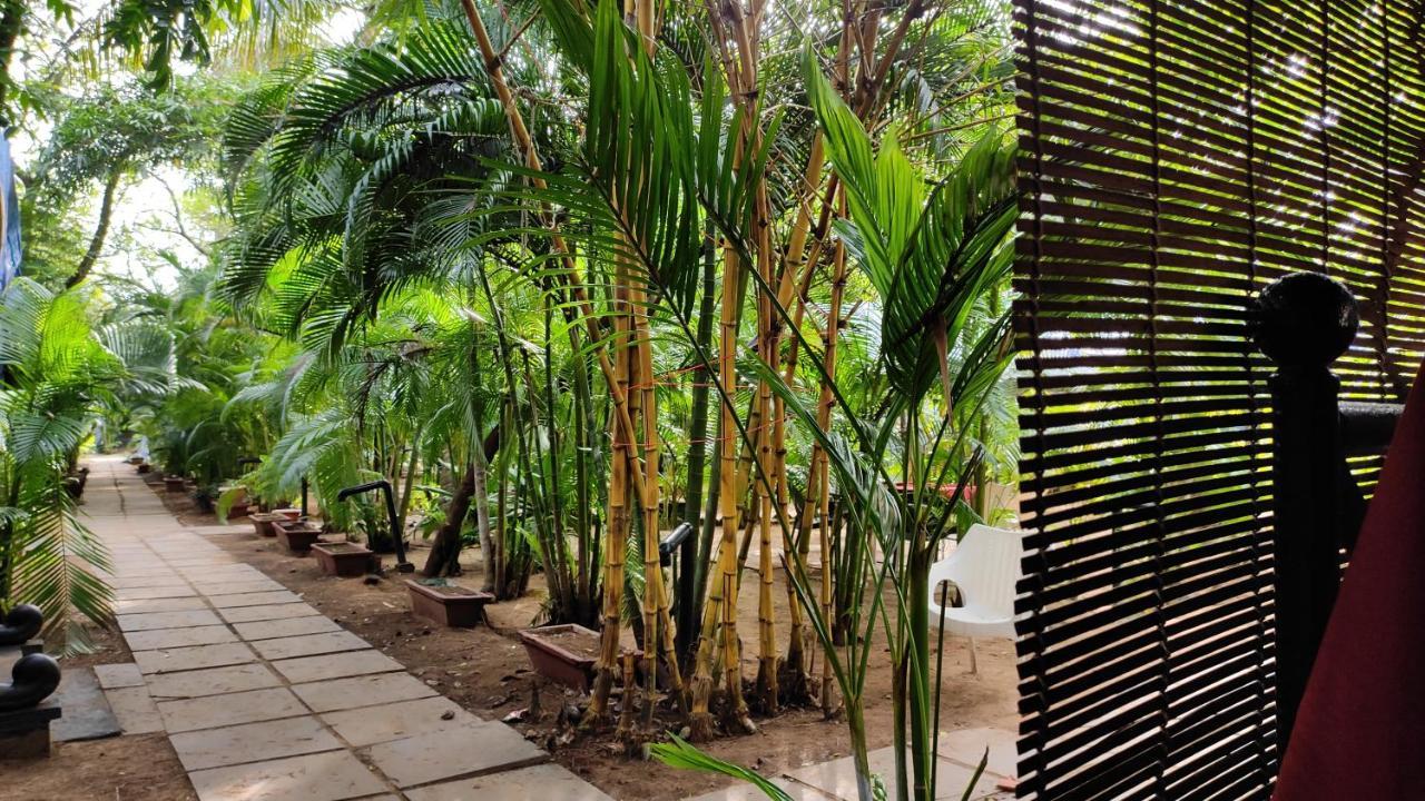 Готель Patnem Palm Garden Patnem Beach Екстер'єр фото